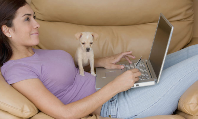 Finding A Pet Online