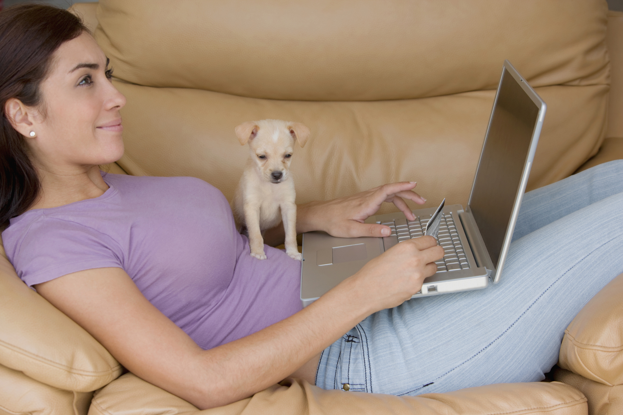 online pet visit