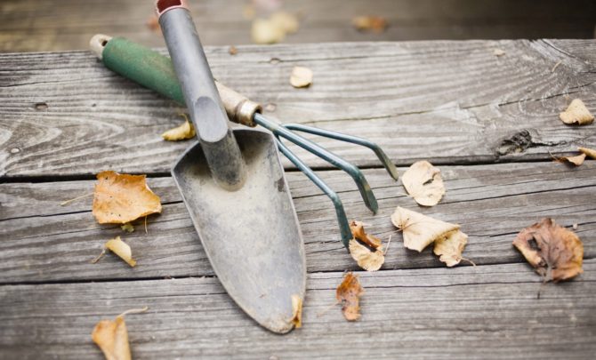 Getting Your Garden Ready For Fall