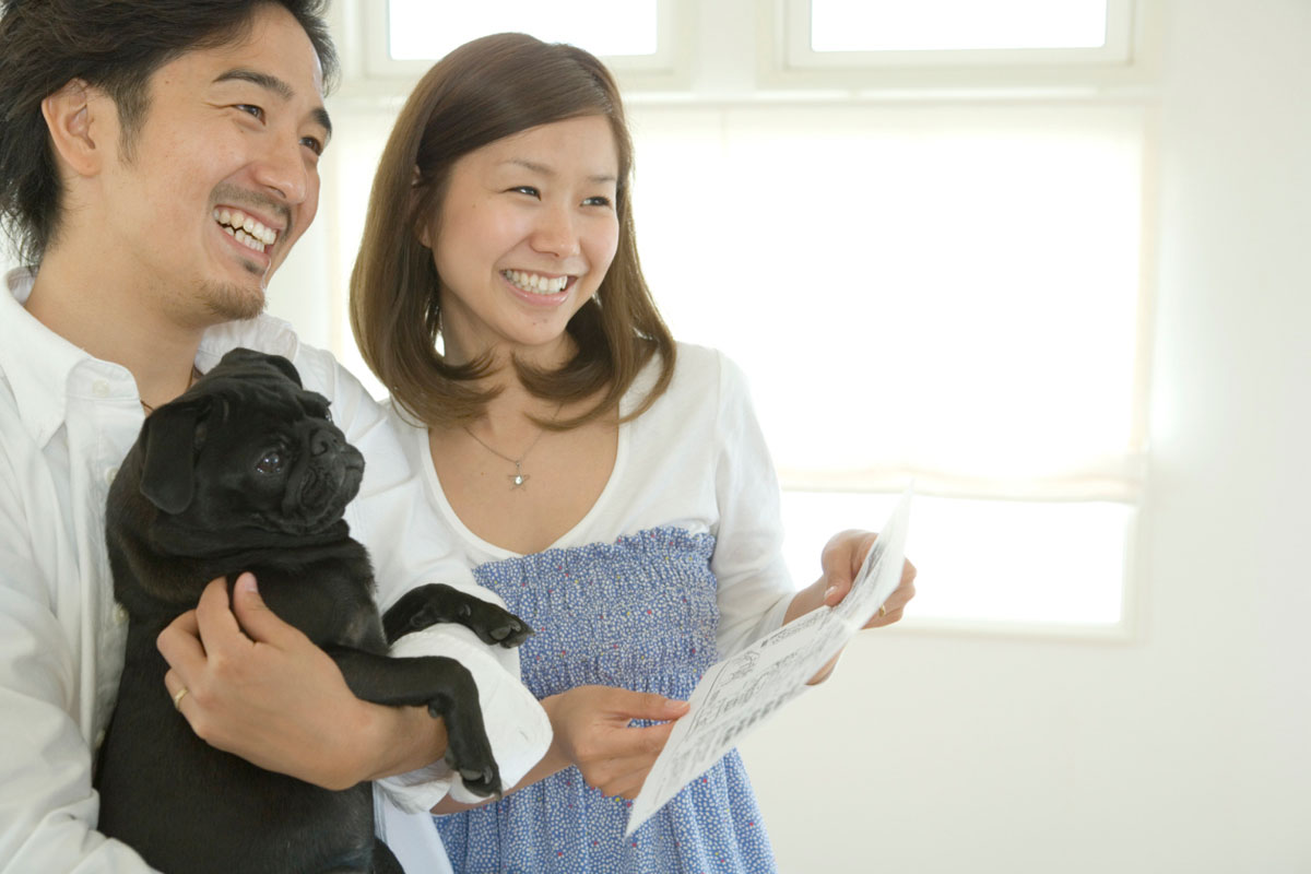 Kennel Basics What to Ask Before You Board Fido Daily Household