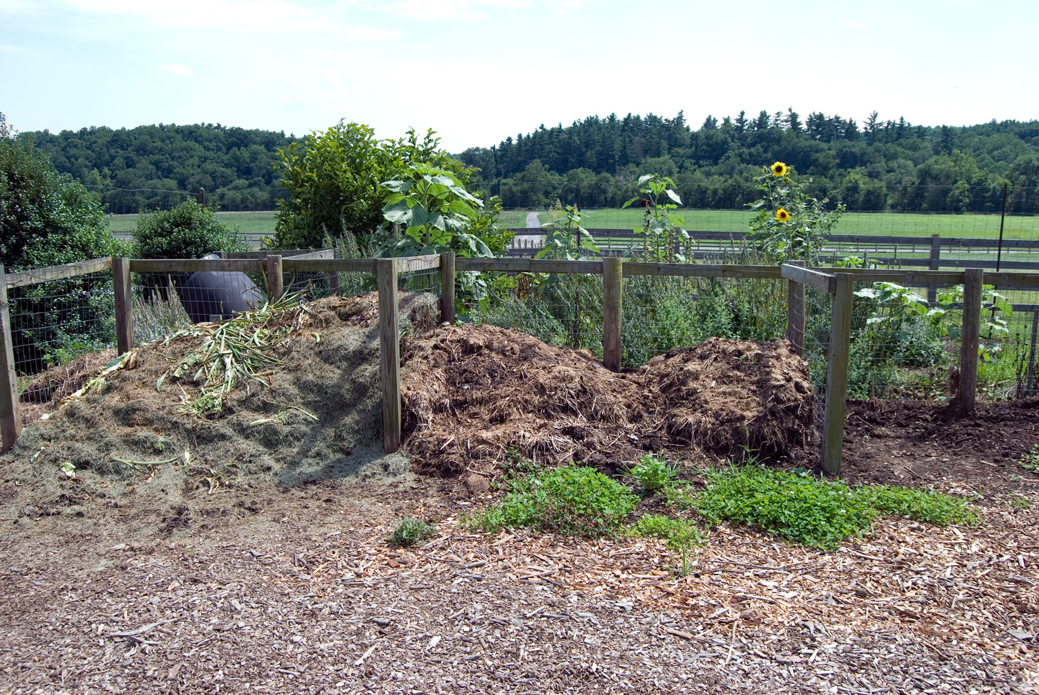 How to Pick the Right Mulch Daily Household