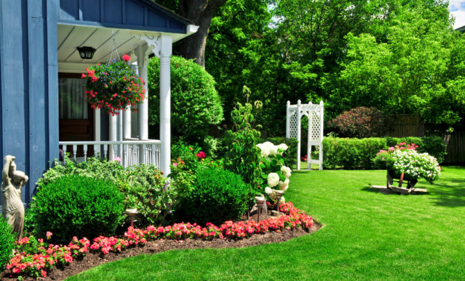 Four Steps to a Gorgeous Yard - Daily Household