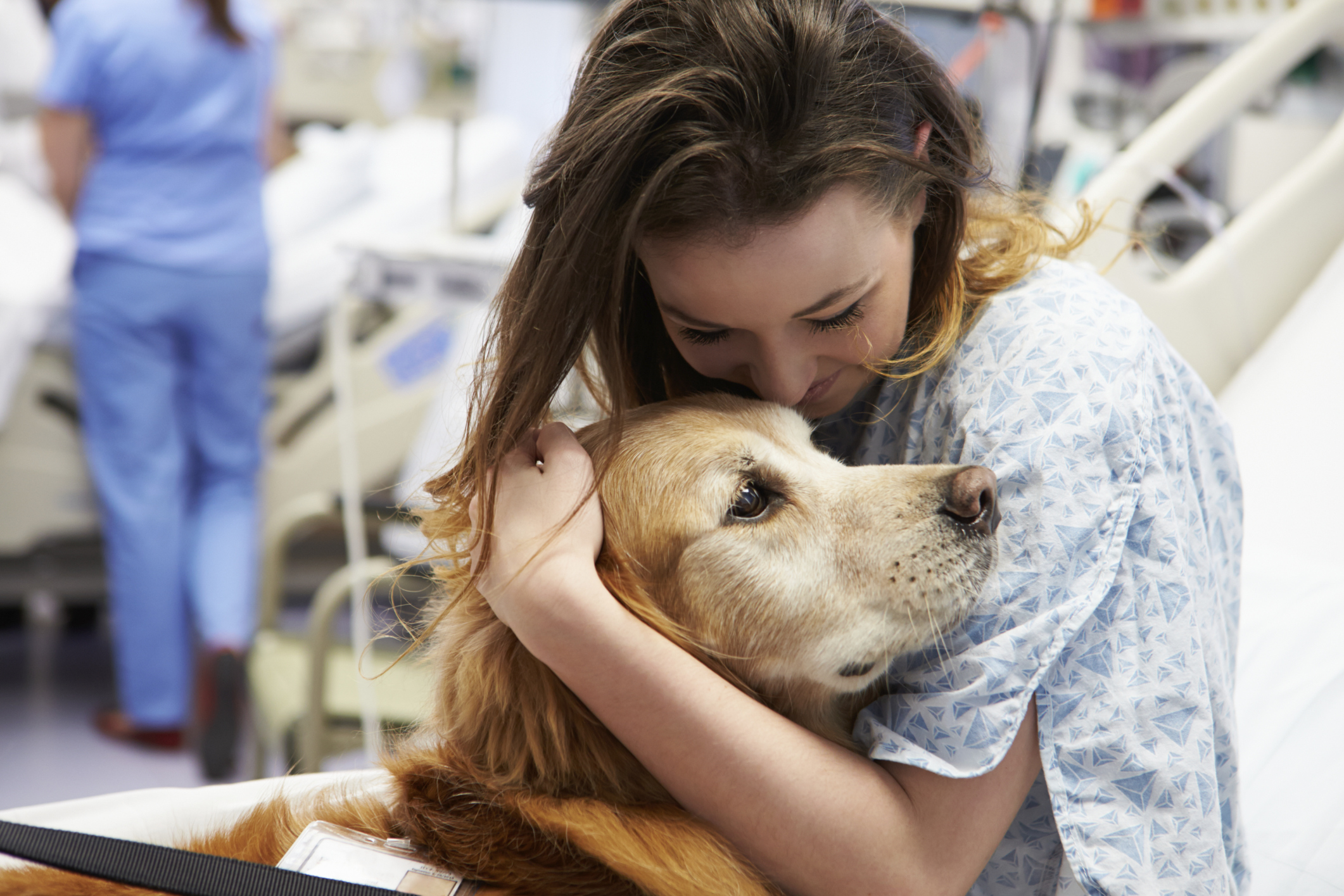 Training Therapy Dogs to Provide Comfort - Daily Household